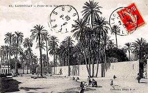 LAGHOUAT - PORTE DE LA SEGUIA - 1909